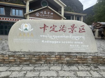 IMG_9276.jpeg