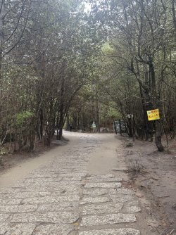 IMG_9282.jpeg