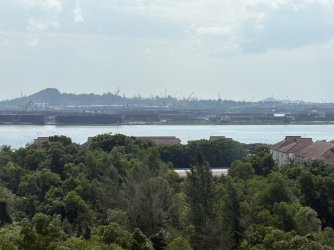 IMG_0600.jpg