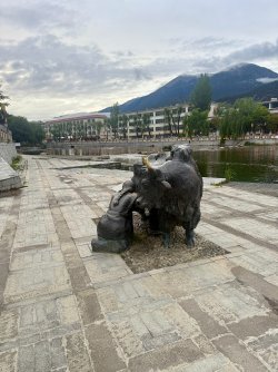 IMG_9363.jpeg