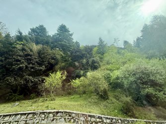 IMG_9424.jpeg