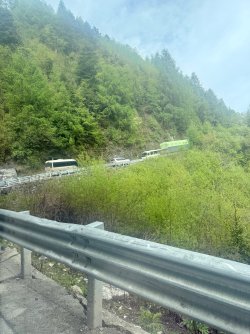 IMG_9432.jpeg