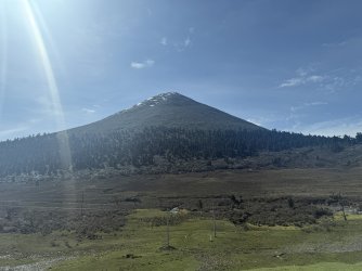 IMG_9448.jpeg
