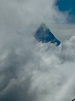 IMG_9480.jpeg