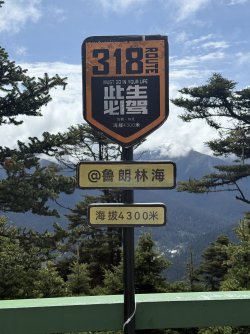 IMG_9502.jpeg