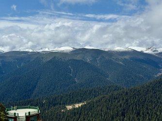 IMG_9503.jpeg