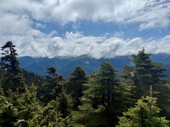 IMG_9504.jpeg