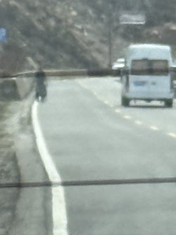 IMG_9521.jpeg
