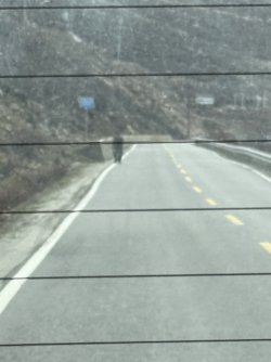 IMG_9520.jpeg