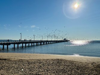 IMG_5947.jpeg