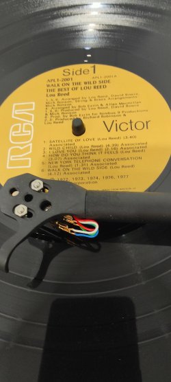 IMG20250511122255.jpg