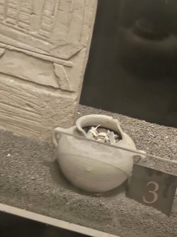 1000028991.jpg