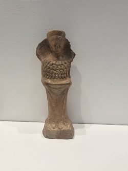 1000029064.jpg