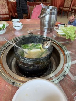 IMG_9537.jpeg