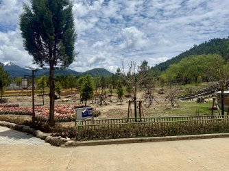 IMG_9554.jpeg