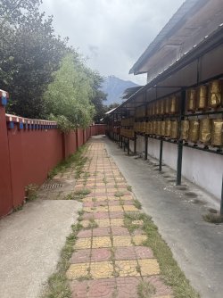 IMG_9587.jpeg