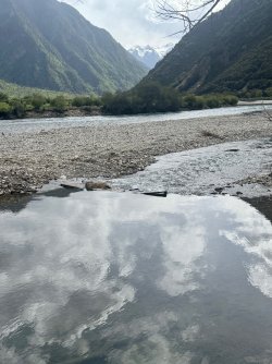 IMG_9646.jpeg