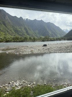 IMG_9645.jpeg