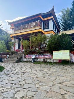IMG_9764.jpeg