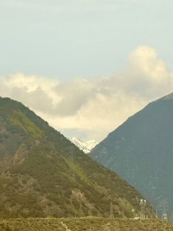 IMG_9926.jpeg