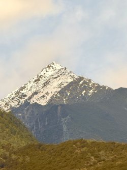 IMG_9930.jpeg