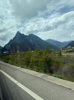 IMG_9602.jpeg