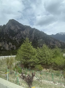 IMG_9617.jpeg