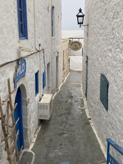 IMG_6839.jpeg