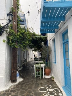 IMG_6864.jpeg