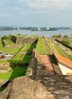 IMG_4592.jpg