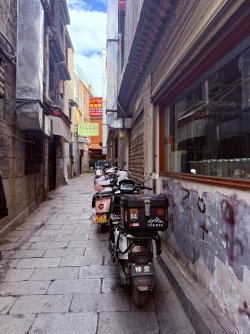 IMG_9987.jpeg
