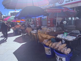 IMG_0251.jpeg
