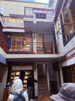 IMG_9989.jpeg