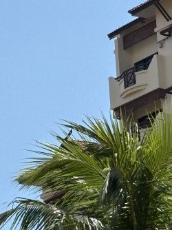 IMG_0658.jpg