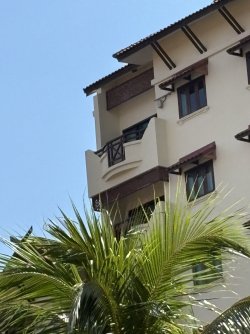 IMG_0659.jpg