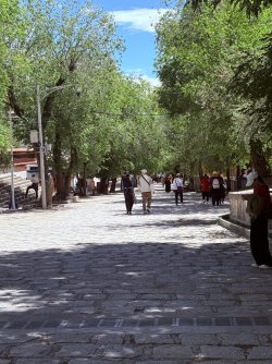IMG_0179.jpeg