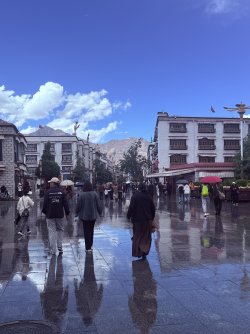 IMG_0209.jpeg