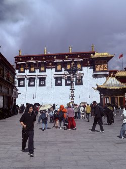 IMG_0218.jpeg