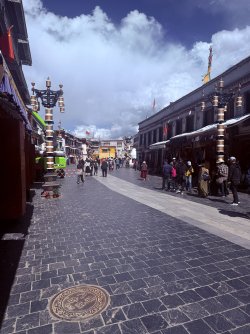 IMG_0224.jpeg