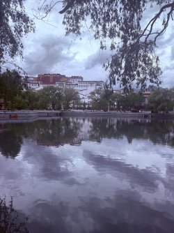 IMG_0266.jpeg