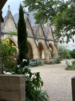 IMG_0937.JPG