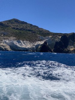 IMG_6989.jpeg