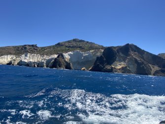 IMG_6993.jpeg