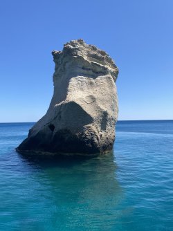 IMG_7051.jpeg