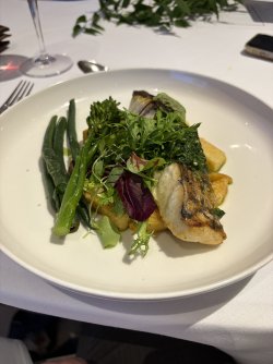 IMG_2642.jpeg