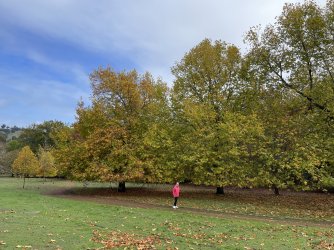 IMG_4471.jpeg