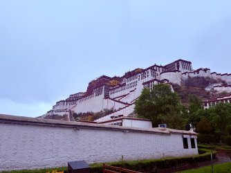 IMG_0390.jpeg IMG_0390.jpeg