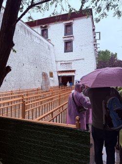 IMG_0388.jpeg IMG_0388.jpeg