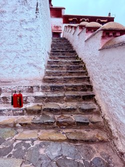 IMG_0403.jpeg