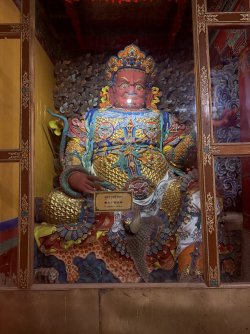 IMG_0449.jpeg